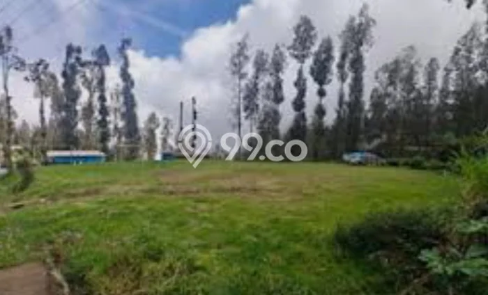 Tanah Dijual Lokasi Tosari, Pasuruan dengan Luas Tanah 1106m2 dan Status SHM Tanah Dijual Lokasi Tosari, Pasuruan dengan Luas Tanah 1106m2 dan Status SHM