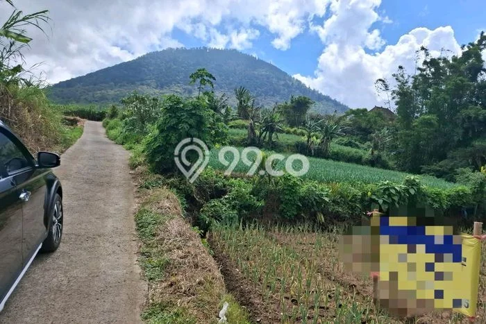 Dijual Tanah Lokasi Bedugul, Tabanan Seluas 500m2 Dijual Tanah Lokasi Bedugul, Tabanan Seluas 500m2
