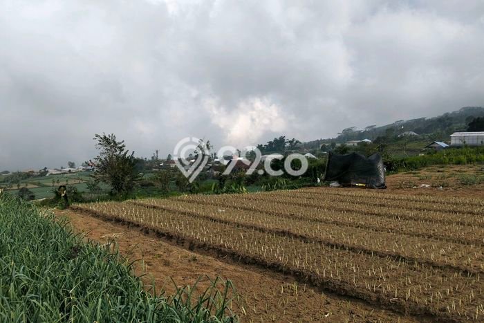 Lahan Dijual Lokasi Strategis di Tabanan dengan Luas 4930m2 Lahan Dijual Lokasi Strategis di Tabanan dengan Luas 4930m2
