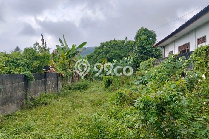 Lahan untuk Dijual di Baturiti Tabanan Luas 1450m2 Lahan untuk Dijual di Baturiti Tabanan Luas 1450m2