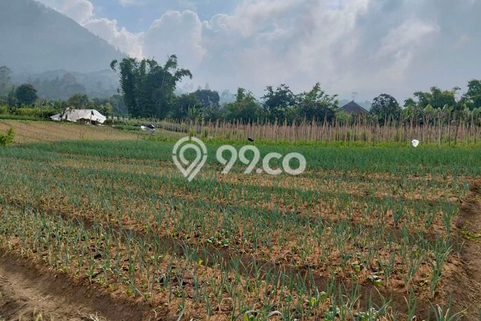Lahan Dijual Lokasi Strategis di Tabanan dengan Luas 4930m2 Lahan Dijual Lokasi Strategis di Tabanan dengan Luas 4930m2
