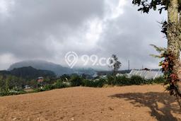 Tanah Dijual di Tabanan Seluas 10000m2 Strategis Tanah Dijual di Tabanan Seluas 10000m2 Strategis