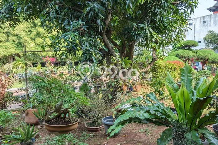 Hunian Elit LB 350m2 Siap Pakai Desain Elegan di Mutiara Kedoya, Jakarta Barat Hunian Elit LB 350m2 Siap Pakai Desain Elegan di Mutiara Kedoya, Jakarta Barat