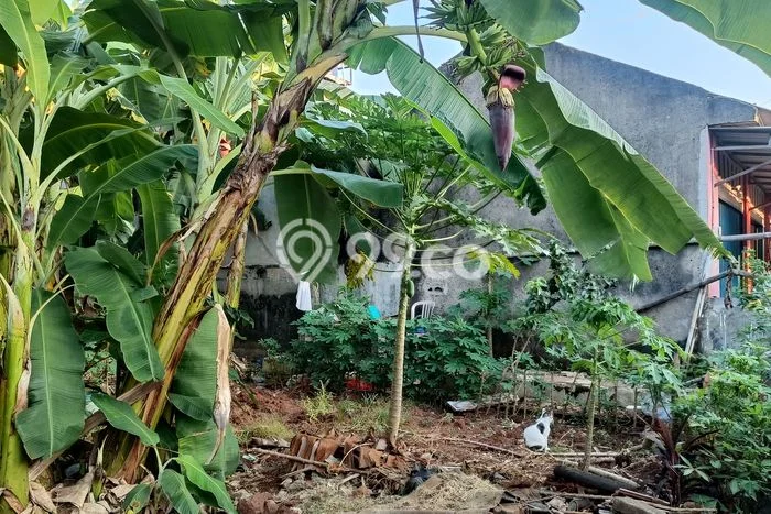 Lahan Dijual Lokasi Strategis di Bekasi dengan Luas 250m2 Lahan Dijual Lokasi Strategis di Bekasi dengan Luas 250m2