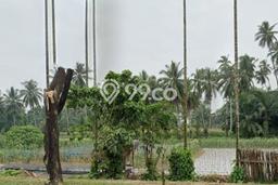 Tanah Dijual Lokasi Ampek Nagari Agam SHM Tanah Dijual Lokasi Ampek Nagari Agam SHM