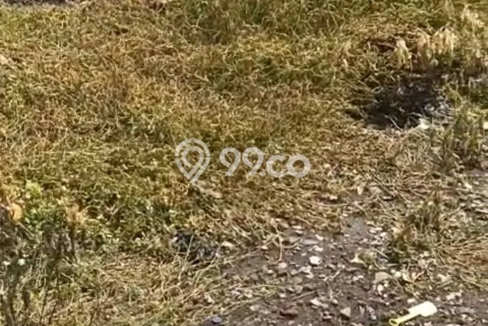 Kavling Tanah Dijual di Karangtanjung Pandeglang Spesifikasi 2990m2 Kavling Tanah Dijual di Karangtanjung Pandeglang Spesifikasi 2990m2