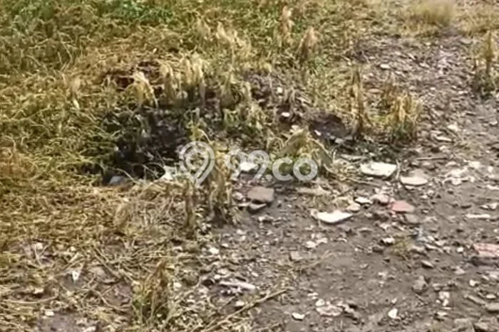 Kavling Tanah Dijual di Karangtanjung Pandeglang Spesifikasi 2990m2 Kavling Tanah Dijual di Karangtanjung Pandeglang Spesifikasi 2990m2