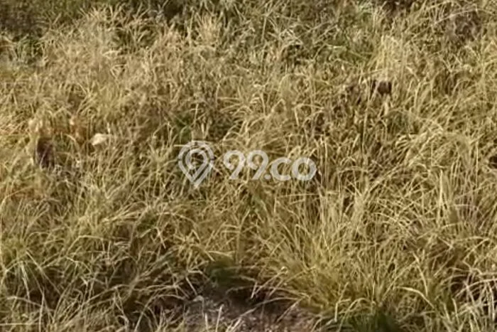 Kavling Tanah Dijual di Karangtanjung Pandeglang Spesifikasi 2990m2 Kavling Tanah Dijual di Karangtanjung Pandeglang Spesifikasi 2990m2