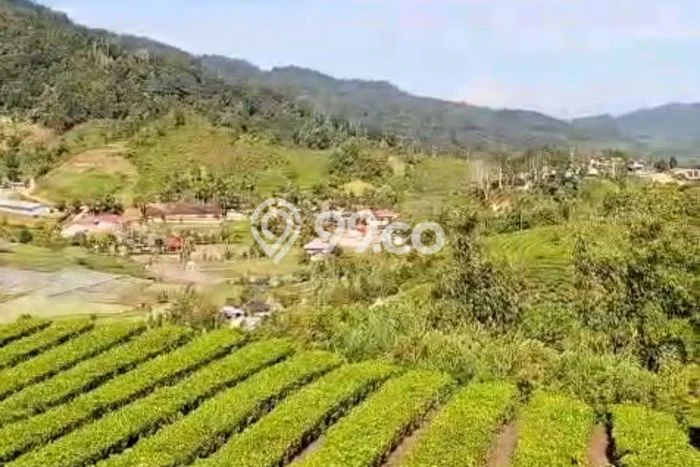 Kavling Tanah untuk Dijual di Kabupaten Solok Kelurahan Simpang, Solok, Luas 34650m2 Kavling Tanah untuk Dijual di Kabupaten Solok Kelurahan Simpang, Solok, Luas 34650m2