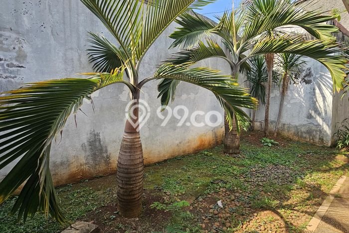 Dijual Rumah Mewah Elegan Dengan View Cantik di Warung Buncit, Jakarta Selatan Dijual Rumah Mewah Elegan Dengan View Cantik di Warung Buncit, Jakarta Selatan