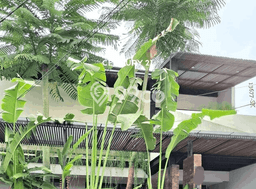 Dijual Rumah Mewah Megah Dengan View Eksklusif di Bintaro, Jakarta Selatan Dijual Rumah Mewah Megah Dengan View Eksklusif di Bintaro, Jakarta Selatan