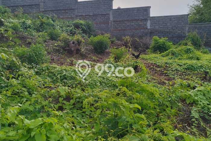 Lahan Kosong Dijual di Buleleng dengan Area 61000m2 Lahan Kosong Dijual di Buleleng dengan Area 61000m2
