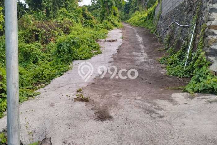 Lahan Kosong Dijual di Buleleng dengan Area 61000m2 Lahan Kosong Dijual di Buleleng dengan Area 61000m2