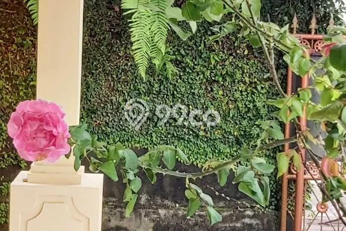 Rumah Modern 3 KT LT 600m2 di Bedugul Rumah Modern 3 KT LT 600m2 di Bedugul