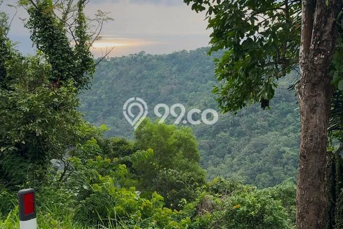 Tanah Dijual Lokasi Batu Layar, Lombok Barat dengan Luas Tanah 2317m2 dan Status SHM Tanah Dijual Lokasi Batu Layar, Lombok Barat dengan Luas Tanah 2317m2 dan Status SHM