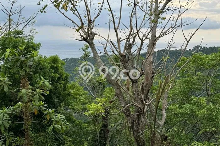 Tanah Dijual Lokasi Batu Layar, Lombok Barat dengan Luas Tanah 2317m2 dan Status SHM Tanah Dijual Lokasi Batu Layar, Lombok Barat dengan Luas Tanah 2317m2 dan Status SHM