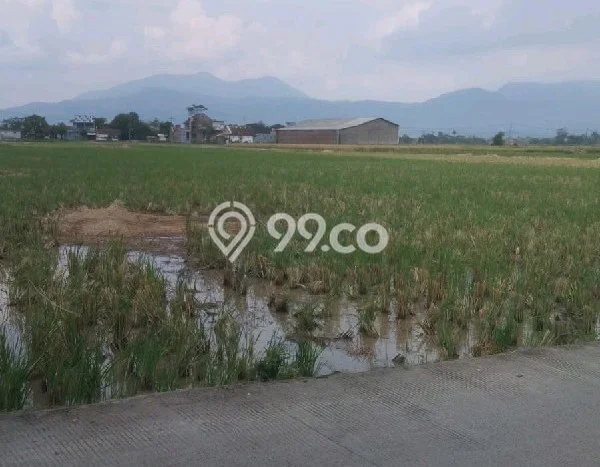 Lahan untuk Dijual di Solokan Jeruk Bandung Luas 19300m2 Lahan untuk Dijual di Solokan Jeruk Bandung Luas 19300m2