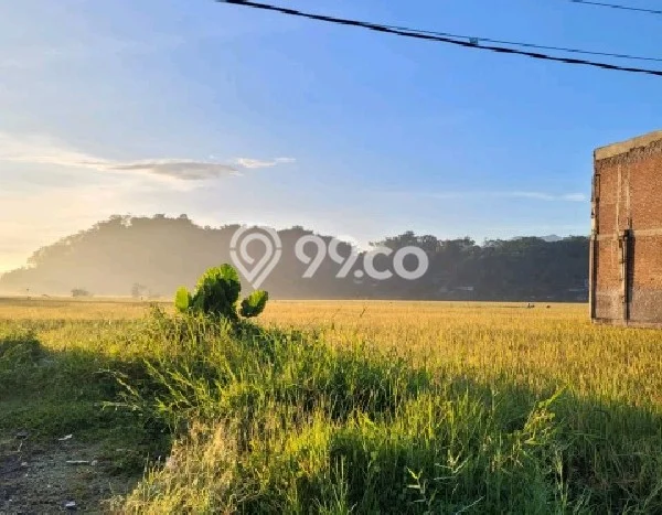 Tanah Dijual Lokasi Kutawaringin, Bandung dengan Luas Tanah 1512m2 dan Status AJB Tanah Dijual Lokasi Kutawaringin, Bandung dengan Luas Tanah 1512m2 dan Status AJB