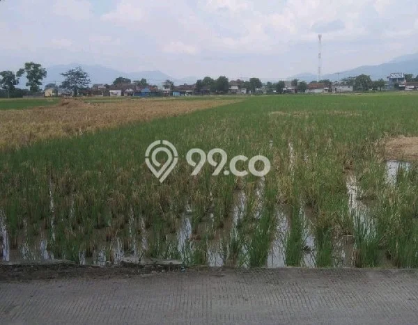 Lahan untuk Dijual di Solokan Jeruk Bandung Luas 19300m2 Lahan untuk Dijual di Solokan Jeruk Bandung Luas 19300m2