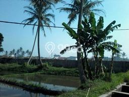 Tanah Dijual Lokasi Majalaya, Bandung Luas 6880m2 Legalitas Aman Tanah Dijual Lokasi Majalaya, Bandung Luas 6880m2 Legalitas Aman