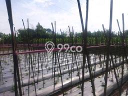 Lahan Kosong Dijual di Kutawaringin, Bandung, Luas 3000m2 Area Strategis Lahan Kosong Dijual di Kutawaringin, Bandung, Luas 3000m2 Area Strategis