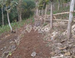 Tanah Dijual di Garut Seluas 250000m2 Strategis Tanah Dijual di Garut Seluas 250000m2 Strategis