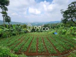 Tanah Dijual Lokasi Cimenyan, Bandung dengan Luas Tanah 2328m2 dan Status SHM Tanah Dijual Lokasi Cimenyan, Bandung dengan Luas Tanah 2328m2 dan Status SHM
