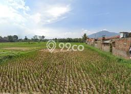 Tanah untuk Dijual Lokasi Rancaekek, Bandung Luas 3700m2 - Tanah untuk Dijual Lokasi Rancaekek, Bandung Luas 3700m2 -