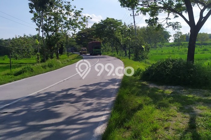 Tanah Dijual Lokasi Jati, Blora dengan Luas Tanah 12632m2 dan Status SHM Tanah Dijual Lokasi Jati, Blora dengan Luas Tanah 12632m2 dan Status SHM