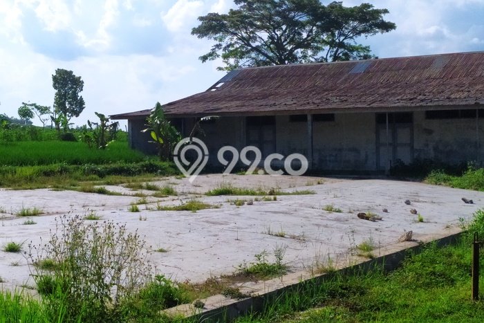 Tanah Dijual Lokasi Jati, Blora dengan Luas Tanah 12632m2 dan Status SHM Tanah Dijual Lokasi Jati, Blora dengan Luas Tanah 12632m2 dan Status SHM