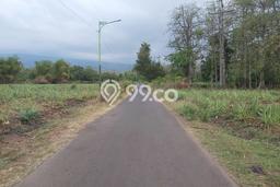 Jarang Ada! Tanah di Winongan Punya Luas 8359m2 SHM Jarang Ada! Tanah di Winongan Punya Luas 8359m2 SHM