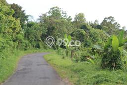 Kavling Tanah Dijual di Selemadeg Tabanan Spesifikasi 65000m2 Kavling Tanah Dijual di Selemadeg Tabanan Spesifikasi 65000m2
