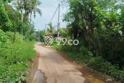 Tanah di Gianyar, Gianyar Luas 800m2 Dijual Segera Tanah di Gianyar, Gianyar Luas 800m2 Dijual Segera