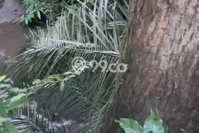 Tanah Disewa Strategis di Gianyar Luas 1900m2 Tanah Disewa Strategis di Gianyar Luas 1900m2