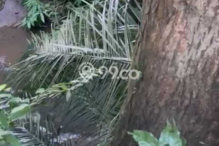 Tanah Disewa Strategis di Gianyar Luas 1900m2 Tanah Disewa Strategis di Gianyar Luas 1900m2