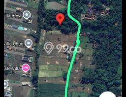 Lahan Strategis di Ubud Gianyar Disewakan dengan Luas 1400m2 Lahan Strategis di Ubud Gianyar Disewakan dengan Luas 1400m2
