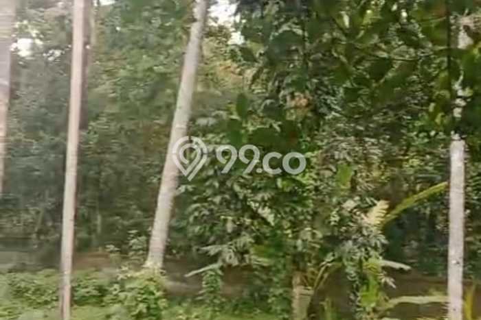 Tanah Disewa Strategis di Gianyar Luas 1900m2 Tanah Disewa Strategis di Gianyar Luas 1900m2