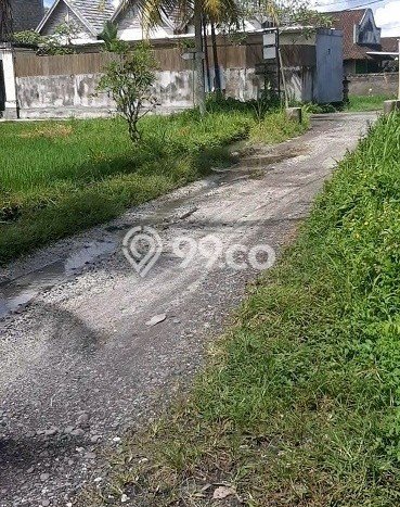 Jarang Ada! Tanah Kavling Disewakan di Gianyar 900m2 Jarang Ada! Tanah Kavling Disewakan di Gianyar 900m2