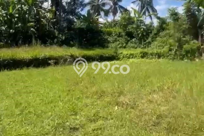 Jarang Ada! Tanah Kavling Disewakan di Gianyar 900m2 Jarang Ada! Tanah Kavling Disewakan di Gianyar 900m2