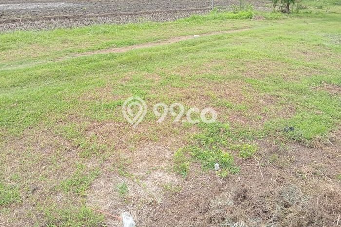 Tanah di Bendosari, Luas 142m², Dekat Pusat Kota, Cocok untuk Properti Tanah di Bendosari, Luas 142m², Dekat Pusat Kota, Cocok untuk Properti