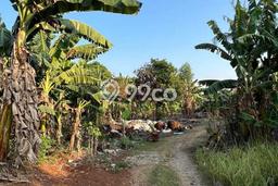 Dijual Tanah Lokasi Bekasi Kota, Bekasi Seluas 2115m2 Dijual Tanah Lokasi Bekasi Kota, Bekasi Seluas 2115m2