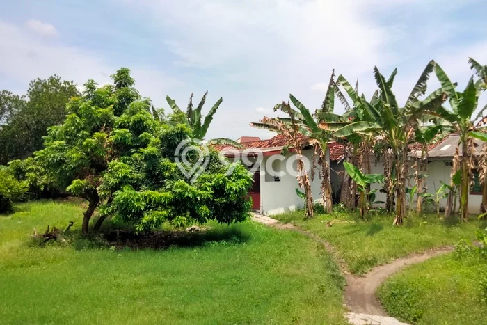 Tanah Kavling di Sewon Dijual dengan Luas 1912m2 Tanah Kavling di Sewon Dijual dengan Luas 1912m2