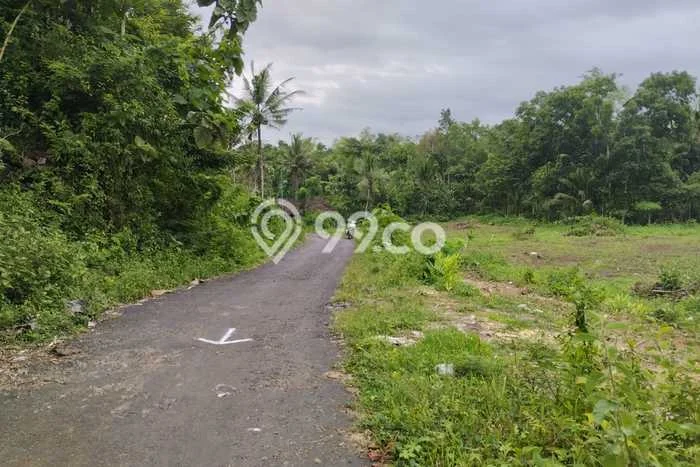 Tanah Kavling untuk Dijual di Bantul Bantul 15000m2 Tanah Kavling untuk Dijual di Bantul Bantul 15000m2