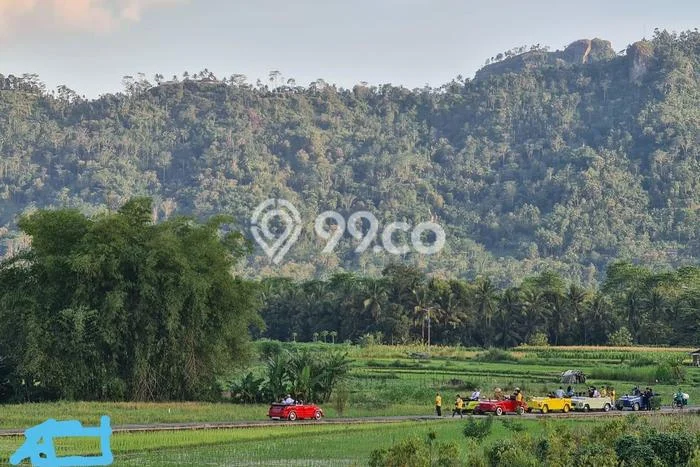 Tanah untuk Dijual Lokasi Borobudur, Magelang Luas 1700m2 - Tanah untuk Dijual Lokasi Borobudur, Magelang Luas 1700m2 -