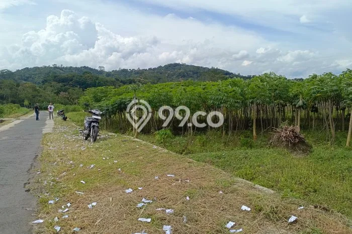 Jarang Ada! Tanah di Borobudur Punya Luas 4000m2 - Jarang Ada! Tanah di Borobudur Punya Luas 4000m2 -