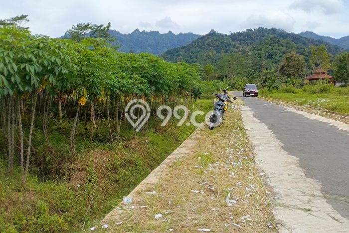 Jarang Ada! Tanah di Borobudur Punya Luas 4000m2 - Jarang Ada! Tanah di Borobudur Punya Luas 4000m2 -