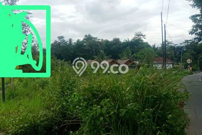 Tanah untuk Dijual Lokasi Borobudur, Magelang Luas 1700m2 - Tanah untuk Dijual Lokasi Borobudur, Magelang Luas 1700m2 -