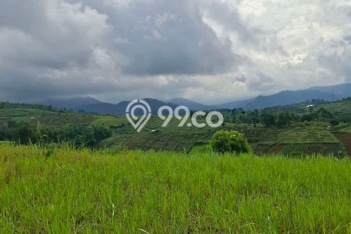 Lahan Kosong Dijual di Sukaresmi, Cianjur, Luas 36600m2 Area Strategis Lahan Kosong Dijual di Sukaresmi, Cianjur, Luas 36600m2 Area Strategis