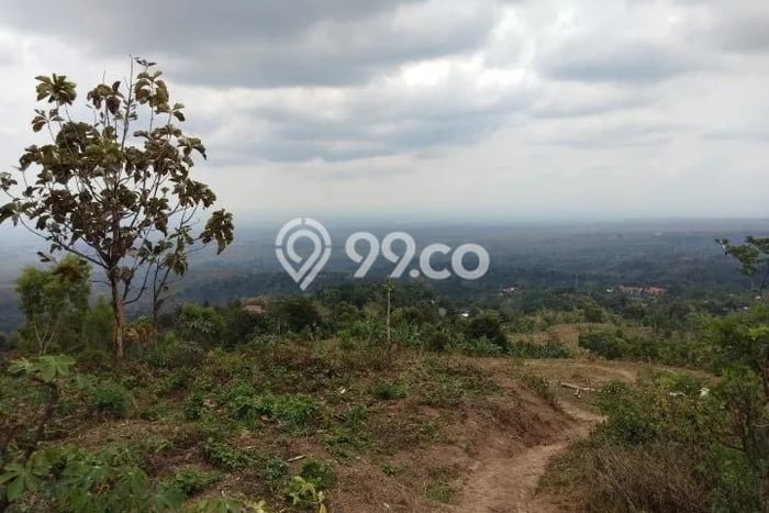 Kavling Tanah Dijual di Kare, Madiun, Luas 7205m2 Area Strategis Kavling Tanah Dijual di Kare, Madiun, Luas 7205m2 Area Strategis