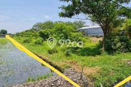 Tanah Komersial Dijual di Kraton Pasuruan 4290m2 Tanah Komersial Dijual di Kraton Pasuruan 4290m2